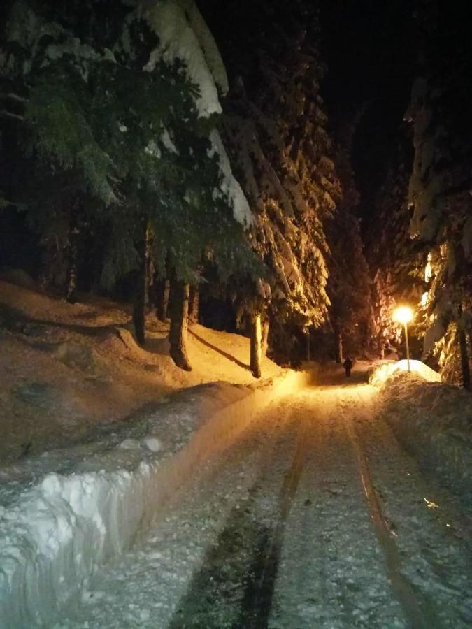 Hotel Elitza Pamporovo Eksteriør billede