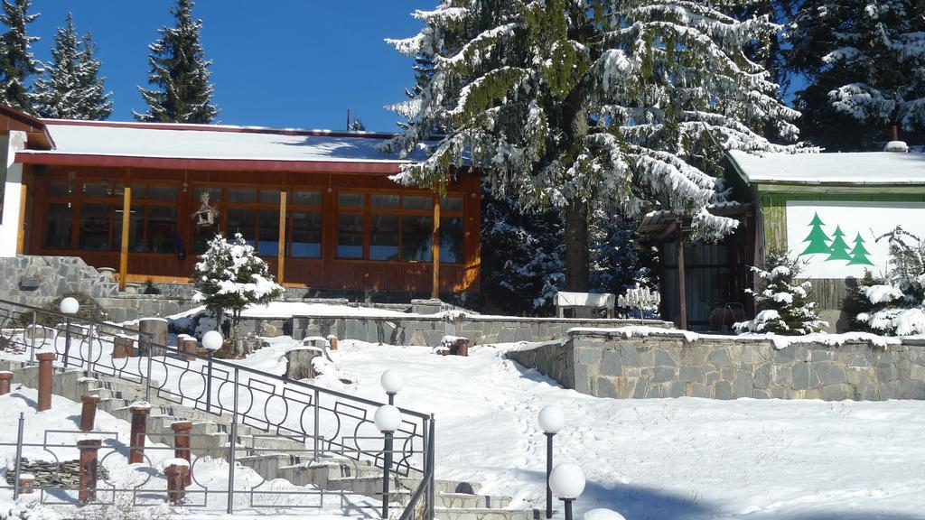 Hotel Elitza Pamporovo Eksteriør billede