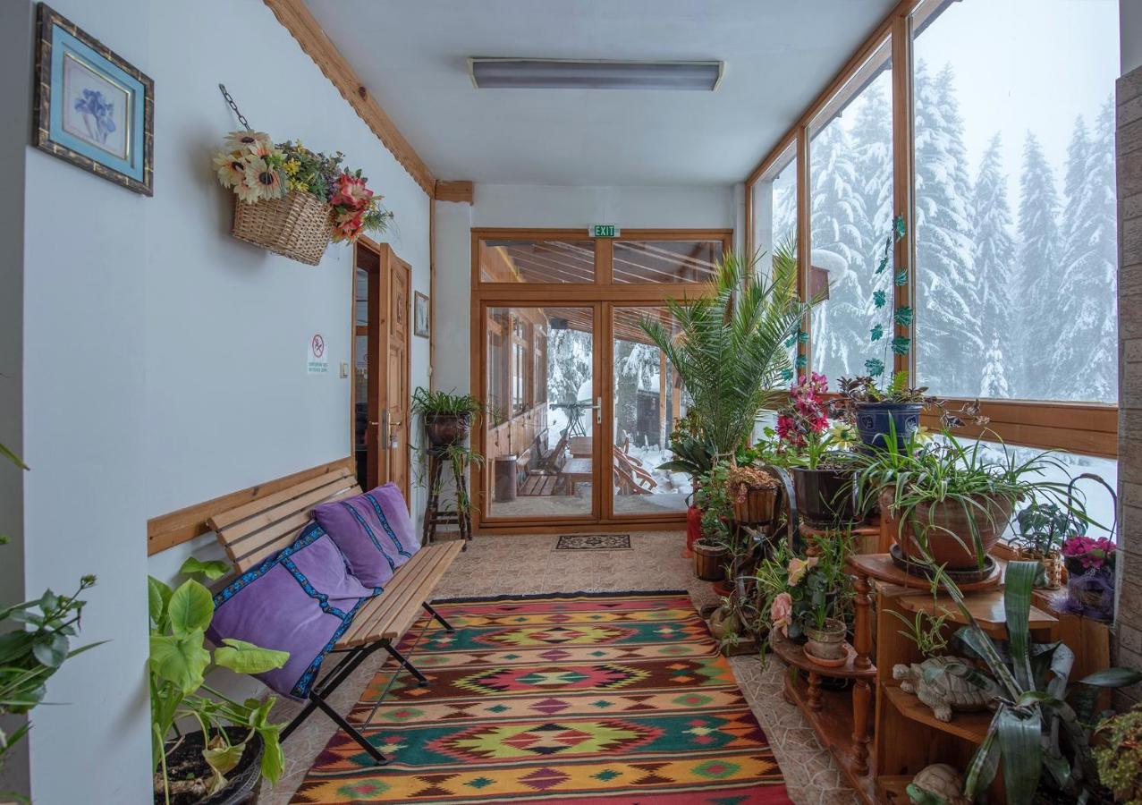 Hotel Elitza Pamporovo Eksteriør billede